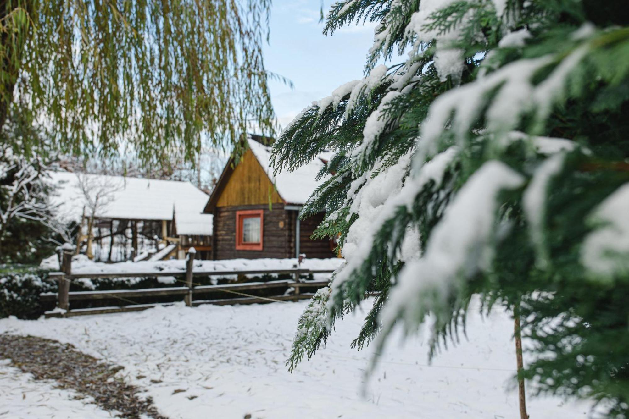 Kolyba Opryshkiv Otel Nizhneye Selishche Dış mekan fotoğraf